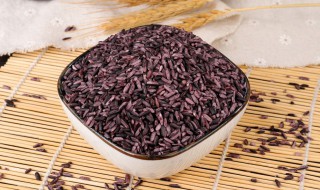 紫米的吃法(紫米的吃法有几种)