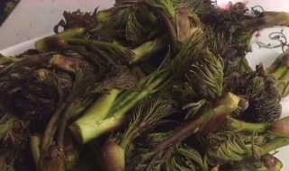刺老芽的吃法 刺老芽的吃法大全