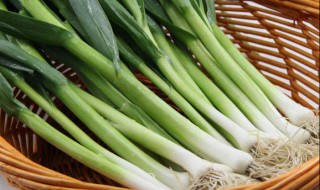 哪些人不能吃蒜苗 哪些人不能吃大蒜苗