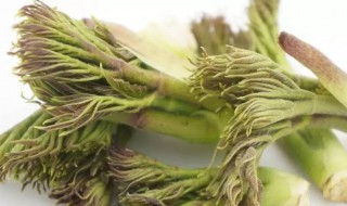 哪些人不能吃龙头菜 哪些人不能吃龙头菜呢