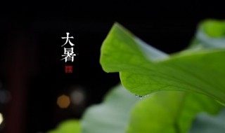 南方大暑节气吃什么 南方小暑节气吃什么