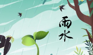 节气雨水的俗语都有哪些（雨水节气有什么说法）