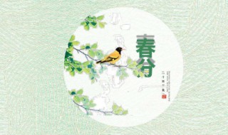 春分节气有哪些趣味民俗 春分节气有哪些趣味民俗节目