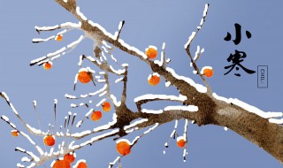 小寒节气养生吃什么食物最好 小寒季节吃什么养生