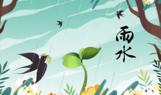 2022年雨水节气需注意什么 2022年雨水节气需注意什么事项
