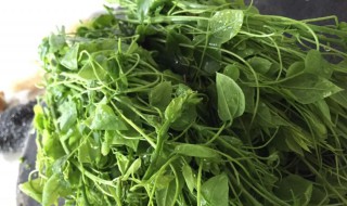 哪些人不能吃龙须菜（哪些人不能吃龙须菜呢）