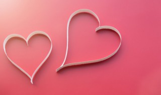 感恩节送什么花 感恩节送什么花给老师合适