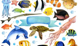 大雪节气饮食必知（大雪节气的养生小知识）