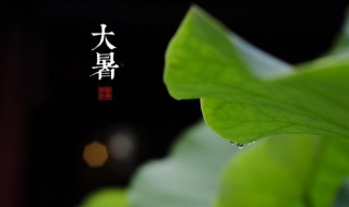 大暑时节养生原则(大暑节气特点及养生提要)