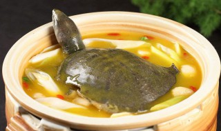 甲鱼汤的吃法 甲鱼汤怎么吃
