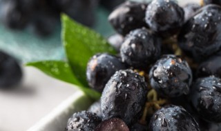 黑提的吃法 黑提的作用