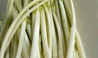 香蒲的吃法 香蒲怎么吃法