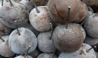 买的冻梨怎么保存(买的冻梨怎么保存时间长)