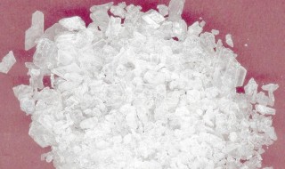 冰片的作用与功效 冰片的作用与功效 冰片能治哪些病