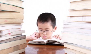 西游记第十一回概括200字（西游记三十三回的内容概括）