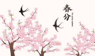 二十四节气之春分时节话养生(二十四节气的节与气)