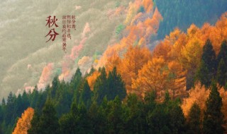 二十四节气之秋分饮食攻略 二十四节气饮食指南