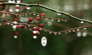 2022年二十四节气时间表大全（2022节气表二十四节气日历）