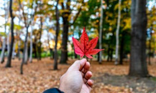 秋季健康饮食小常识 秋季健康饮食小常识大全