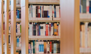 醉的组词（壁的组词）