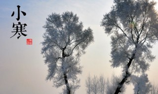 二十四节气小寒的由来及风俗（24节气小寒的由来）