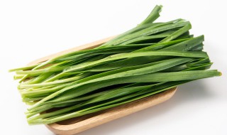 什么时候种植韭菜好 什么时间栽韭菜最好