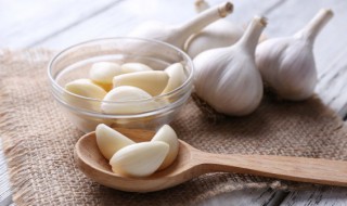 什么时候种植大蒜最好（什么时候种植大蒜最好呢）