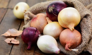 什么时候种植洋葱(洋葱种植方法与时间)