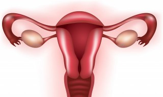 初次上环的女性需要注意事项（上环和戴套哪个对女性好一点）