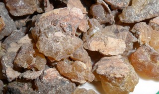 乳香的功效与作用(乳香的功效与作用禁忌与副作用有哪些)