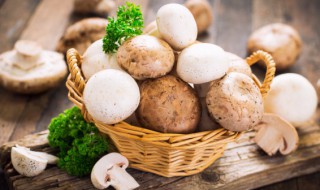 口蘑怎么做好吃还简单 吃口蘑的七大禁忌