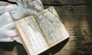 谁言寸草心的下一句（谁言寸草心的下一句话）