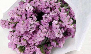 粉色勿忘我花语是什么 粉勿忘我的花语