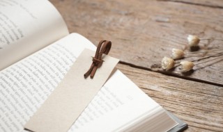 今晚月色真美下一句 今晚月色真美下一句文案