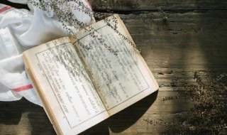 心之所向下一句 目之所及,心之所向,身之所往