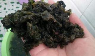 地木耳怎么做好吃 地皮菜的做法大全