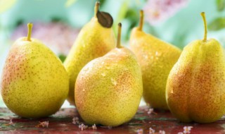 糖梨子怎么做好吃（糖梨子怎样做才好吃）