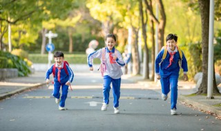 关于四季的优美短句 四季交替的唯美句子