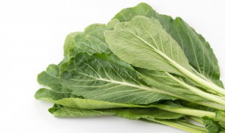 芥菜怎么腌制好吃 芥菜怎么腌制好吃更脆