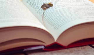 最好的座右铭大全（最好听的座右铭）