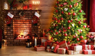 圣诞节的来源和习俗 圣诞节的来源?