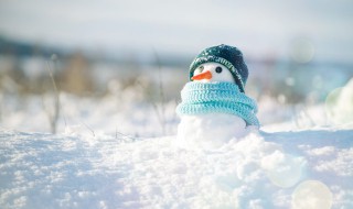 冬天养生饮食(冬天养生饮食有哪些)