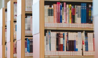 老子中的成语（老子中的成语有多少）