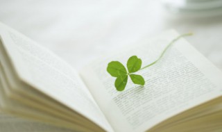 影只形单的意思（影只形单的意思是什么）