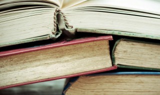 出自俗语的名字（出自俗语的名字男孩）