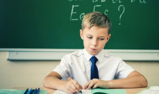 寻组词（寻组词二年级下册语文）