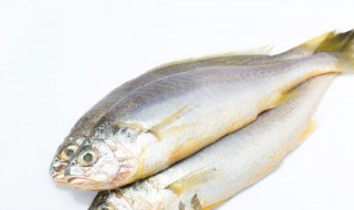 小鱼怎么做好吃又简单家常的 鱼的做法简单又好吃