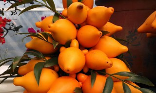 黄金果功效与作用是什么（黄金果的功效和作用）