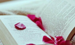 受宠若惊意思 受宠若惊意思怎么理解