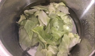 你知道莲花菜怎么切吗（莲花白菜怎么切）